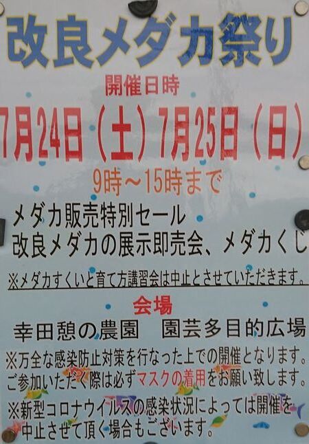 来週末は幸田憩の農園でめだか祭り開催 岡崎葵メダカのつぶやき