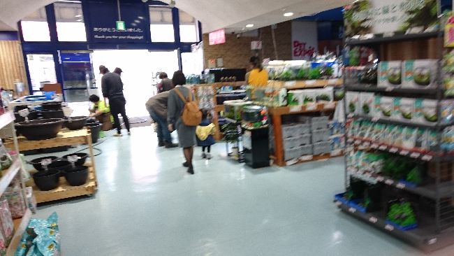 ペットエキスポさんのメダカイベント 岡崎葵メダカのつぶやき