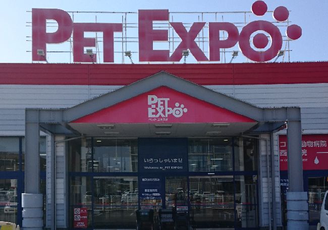 ペットエキスポさんのメダカイベント 岡崎葵メダカのつぶやき