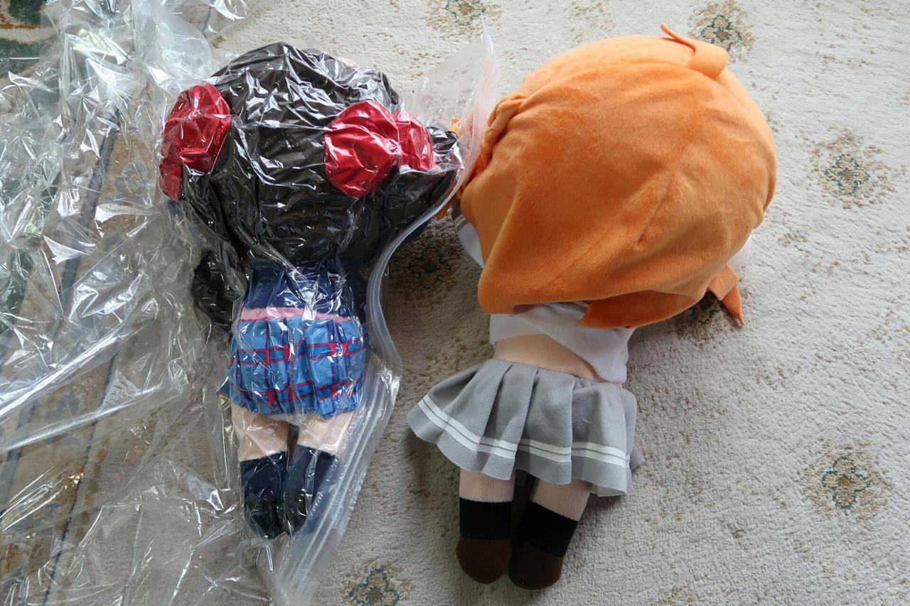 寝そべりぬいぐるみを布団圧縮袋にかけてみたらどうなるか検証した件 葵みずなの小部屋 寝そべりぬいぐるみを布団圧縮袋にかけてみたらどうなるか検証した件 葵みずなの小部屋