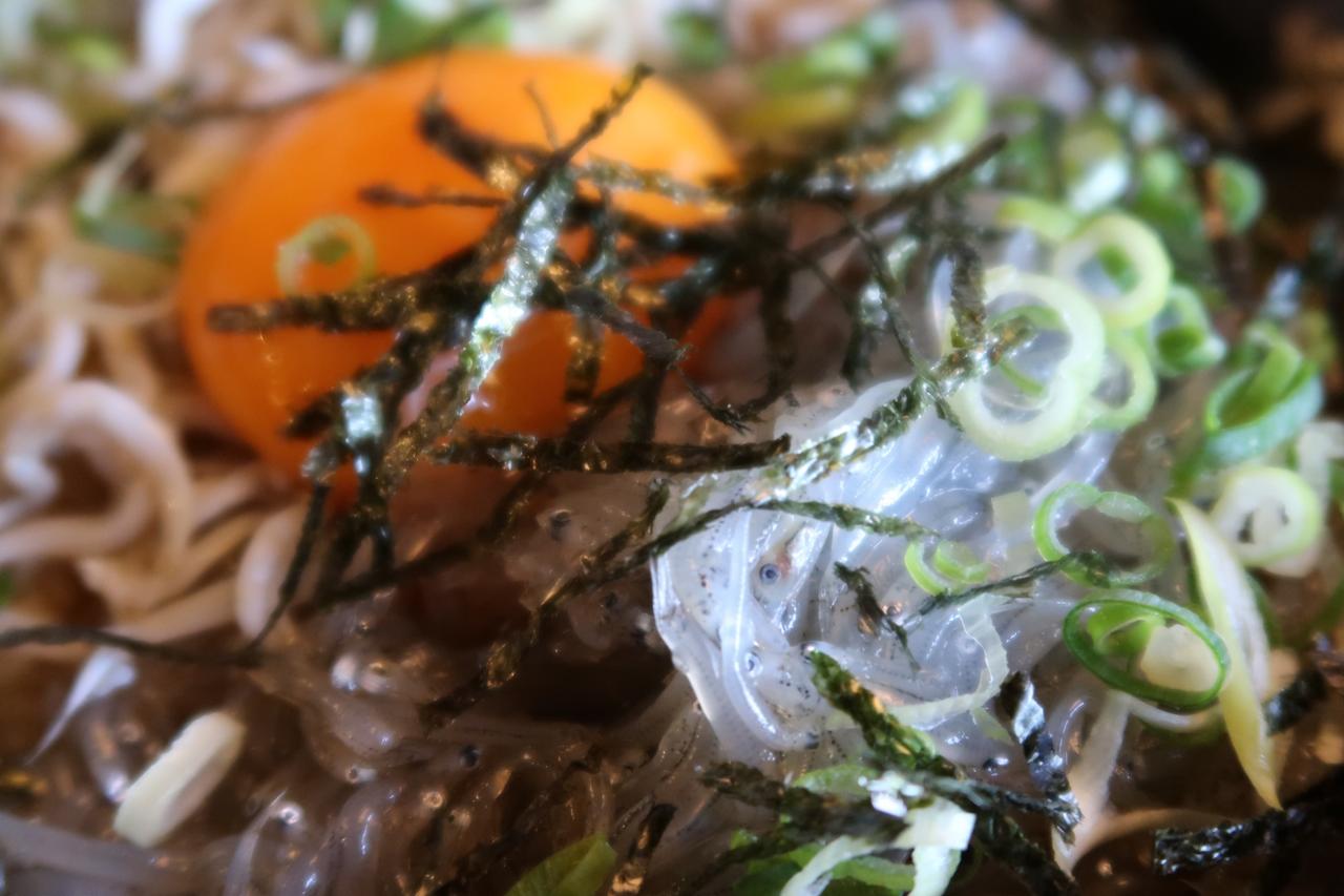生しらす丼を食べに行きました 葵みずなの小部屋 生しらす丼を食べに行きました 葵みずなの小部屋