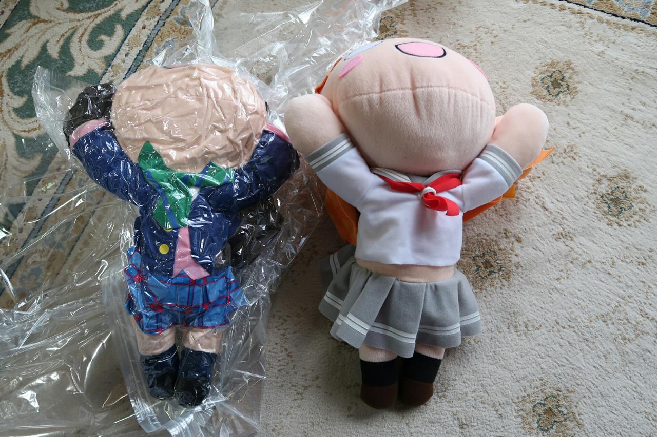 寝そべりぬいぐるみを布団圧縮袋にかけてみたらどうなるか検証した件 葵みずなの小部屋