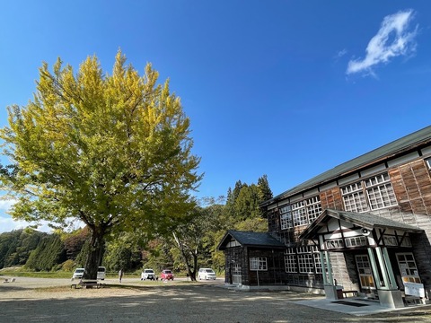 イチョウと学校