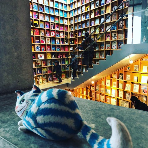 6EF26278-8464-4DD3-A3E7-B7DE90922C96