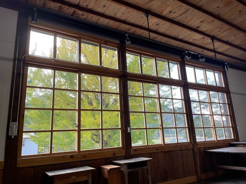 窓からのイチョウ