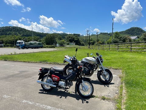 くまもん&ほね