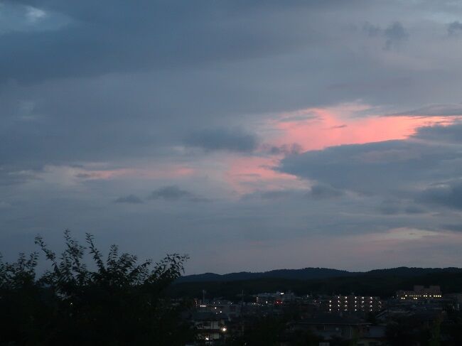 昼の雲 夜の月 自粛の日々 川岸から Riverside Life 昼の雲 夜の月 自粛の日々 川岸から Riverside Life