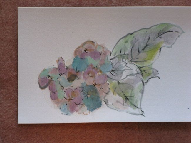 さくらんぼと紫陽花 絵手紙 と 川岸から Riverside Life さくらんぼと紫陽花 絵手紙 と 川岸から Riverside Life