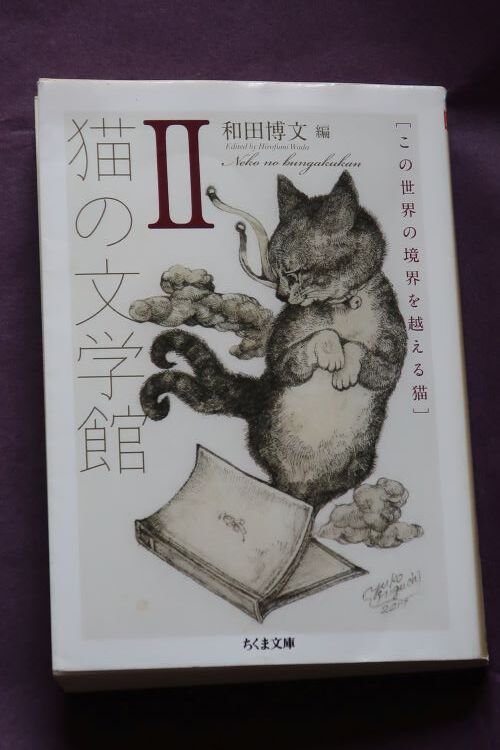 四つになる娘が 猫 のお墓に供えた茶碗の水をすくって飲んだ エッ それはアカンでしょぅ 夏目漱石 猫の墓 川岸から Riverside Life 四つになる娘が 猫 のお墓に供えた茶碗の水をすくって飲んだ エッ それはアカンでしょぅ 夏目漱石 猫の墓 川岸から Riverside Life