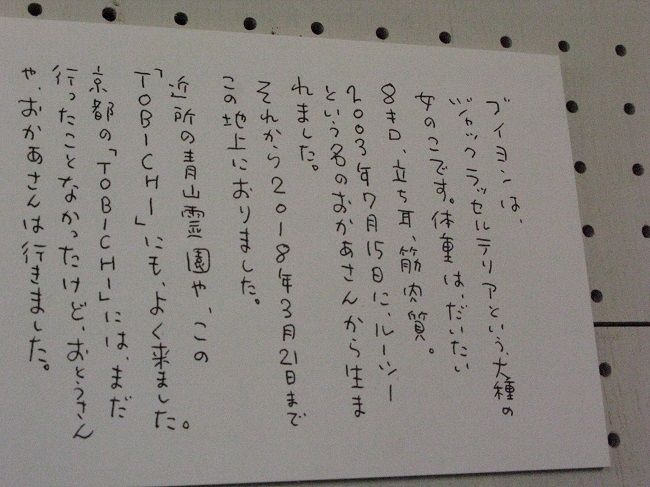 壽ビルデイングで ブイヨンからのおれい 展 川岸から Riverside Life