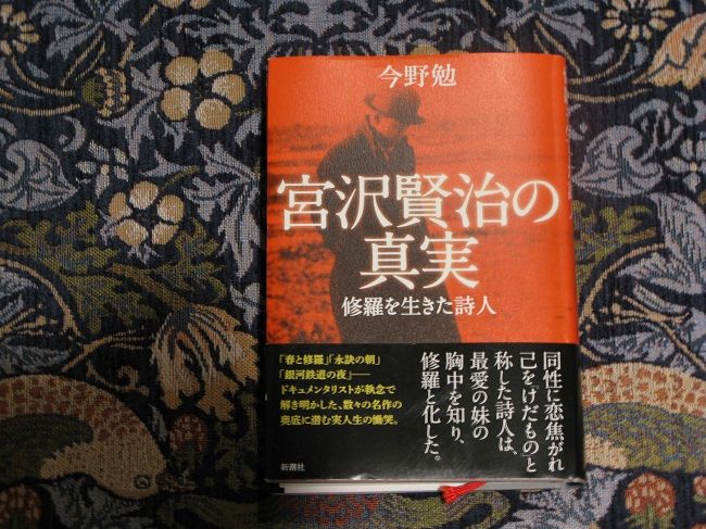 宮沢賢治の修羅 川岸から Riverside Life 宮沢賢治の修羅 川岸から Riverside Life