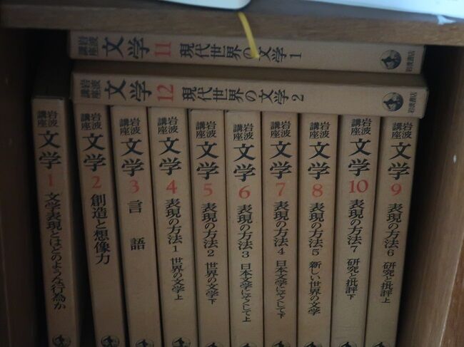 高橋たか子の魔性…「岩波講座 文学11」から : 川岸から Riverside Life