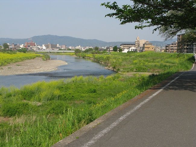 歩いて 歩いて 川沿い散歩 : 川岸から Riverside Life