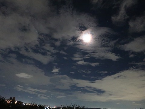 昼の雲 夜の月 自粛の日々 川岸から Riverside Life