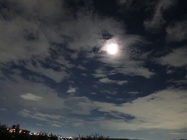 昼の雲 夜の月 自粛の日々 川岸から Riverside Life 昼の雲 夜の月 自粛の日々 川岸から Riverside Life