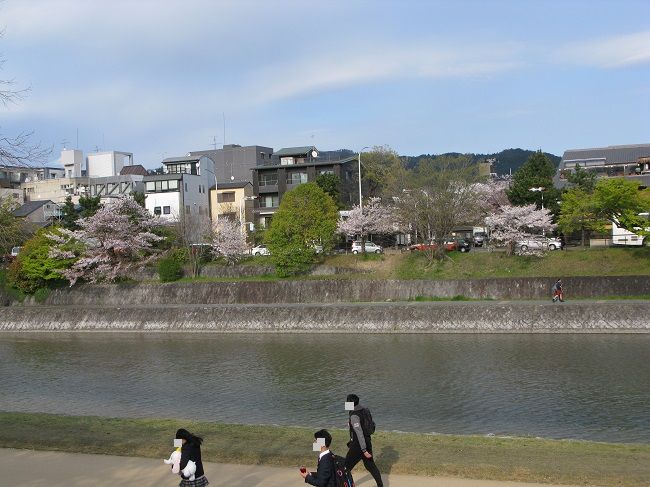路地に魅せられ 木屋町 先斗町 高瀬川 川岸から Riverside Life 路地に魅せられ 木屋町 先斗町 高瀬川 川岸から Riverside Life