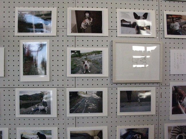 壽ビルデイングで ブイヨンからのおれい 展 川岸から Riverside Life