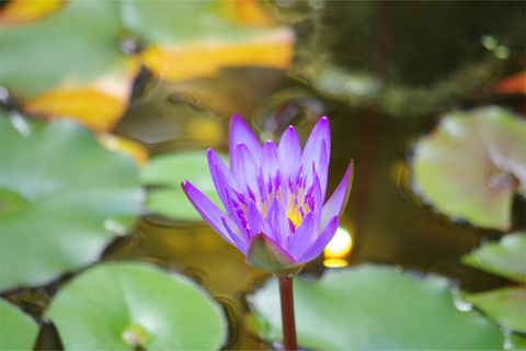 c8a0381c.jpg