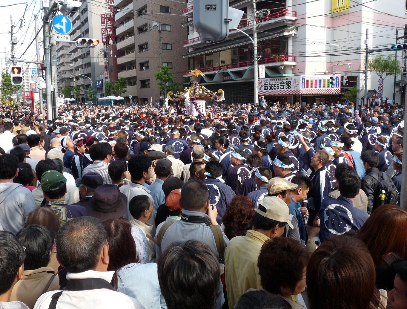 浅草三社祭 宮出し : とりこのつぶろぐ