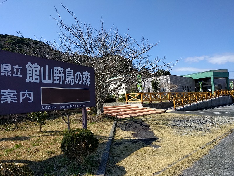 鳥が不在 館山野鳥の森 とりこのつぶろぐ 鳥が不在 館山野鳥の森 とりこのつぶろぐ