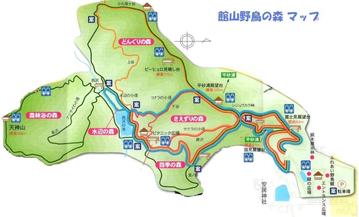 鳥が不在 館山野鳥の森 とりこのつぶろぐ 鳥が不在 館山野鳥の森 とりこのつぶろぐ