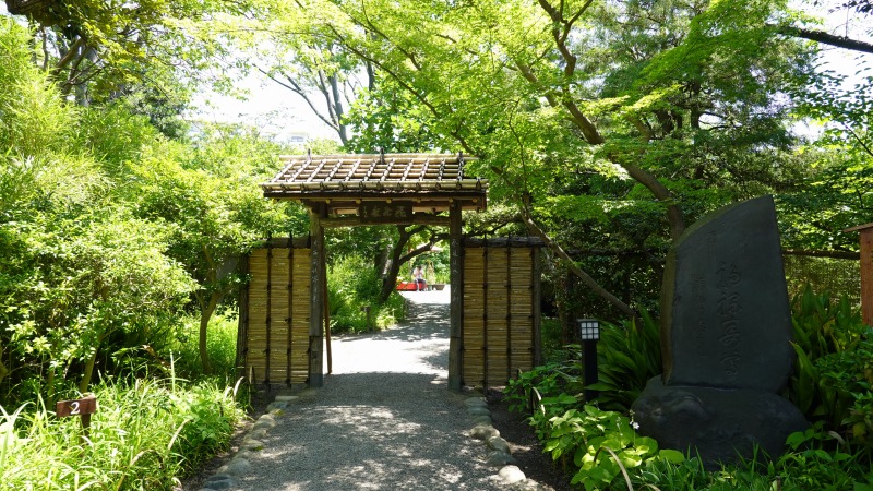 向島百花園 久しぶり とりこのつぶろぐ