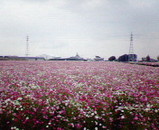 �����⥹��