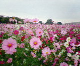 �����⥹��