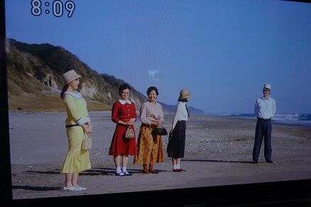 愛知県 渥美半島 高松海岸で化石を採ろう 元トヨタマンの目