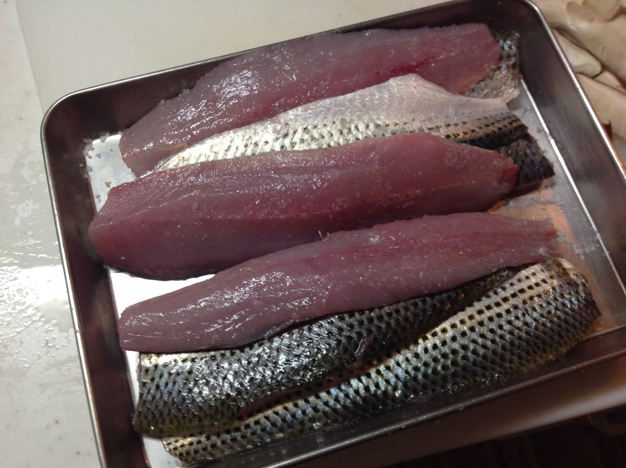 コノシロのアクアパッツァ 釣明 お手軽陸っぱり釣り お手軽魚料理 コノシロのアクアパッツァ 釣明 お手軽陸っぱり釣り お手軽魚料理