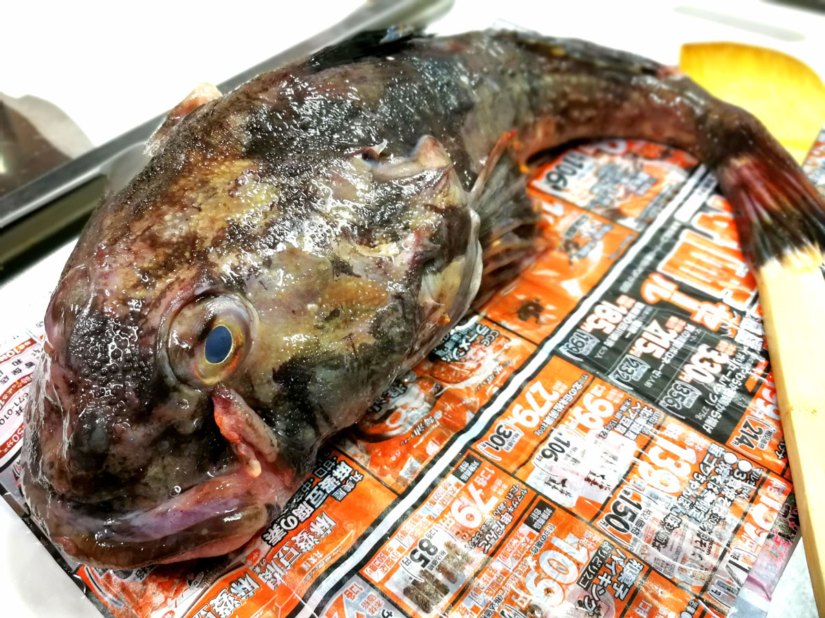 おうちご飯 真カジカ鍋 グロ注意報 鶏の砂肝の生姜醤油煮 青木葉 Eatful Life おうちご飯 真カジカ鍋 グロ注意報 鶏の砂肝の生姜醤油煮 青木葉 Eatful Life
