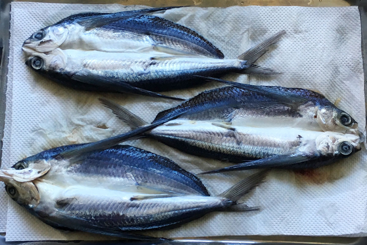 おうちご飯 トビウオのすずめ開き一夜干し 青木葉 Eatful Life