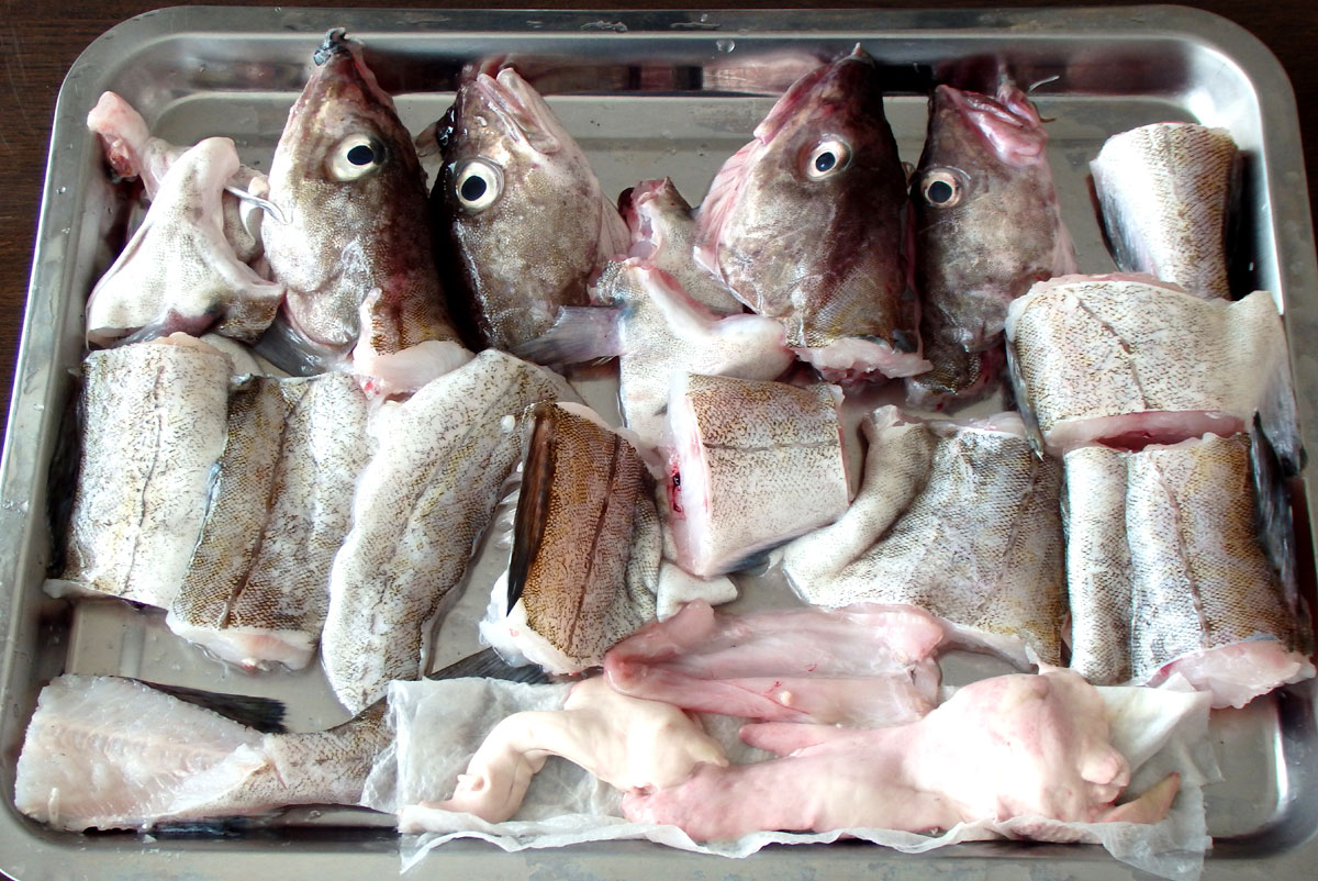 魚 青木葉 Eatful Life 魚 青木葉 Eatful Life
