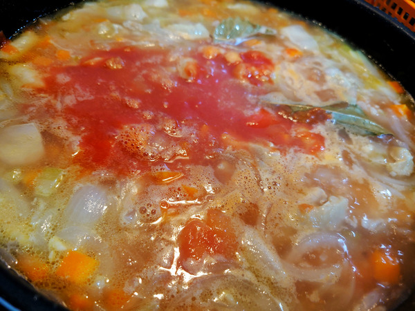 20220614minestrone003