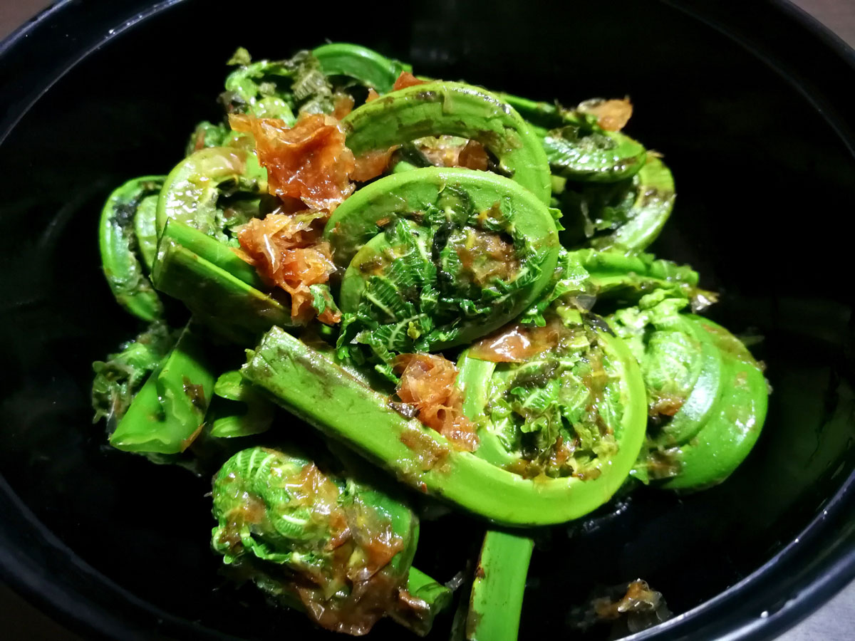 おうちご飯 メジナの刺身 タラの芽とこごみの天ぷら こごみのお浸し 山ウドのキンピラ 青木葉 Eatful Life おうちご飯 メジナの刺身 タラの芽とこごみの天ぷら こごみのお浸し 山ウドのキンピラ 青木葉 Eatful Life