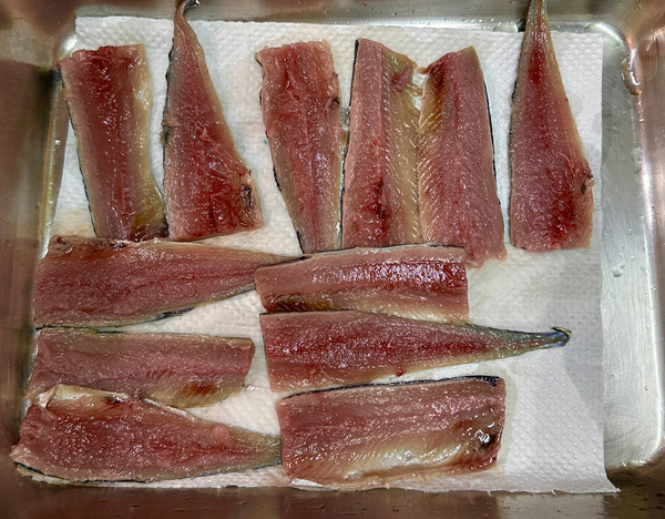 20231108sanma002