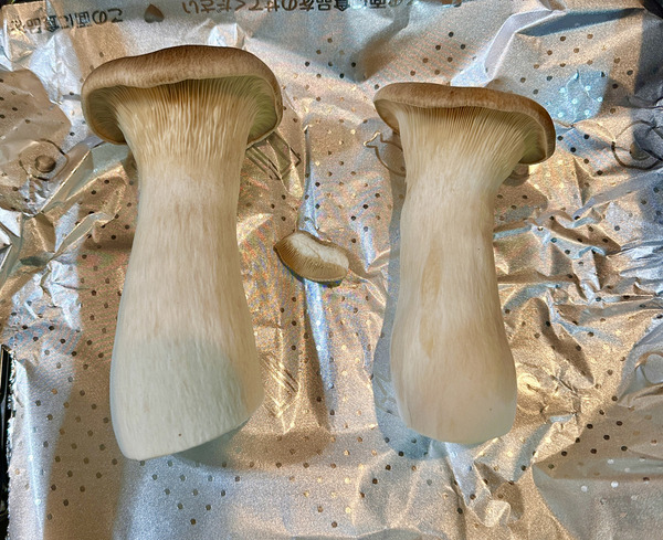 20221207okogepasta010
