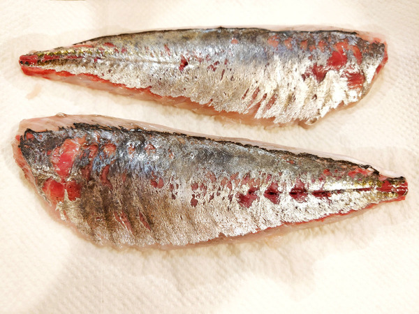 20201106aji006
