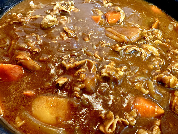 20221024porkcurry004