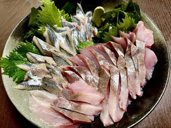 20230901sashimi010