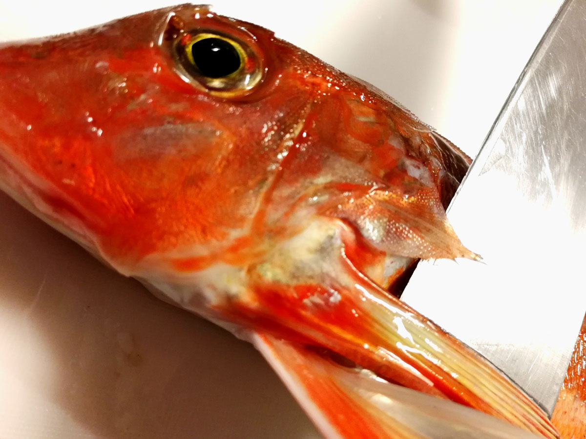 おうちご飯 カナガシラの唐揚げ アラ汁 青木葉 Eatful Life