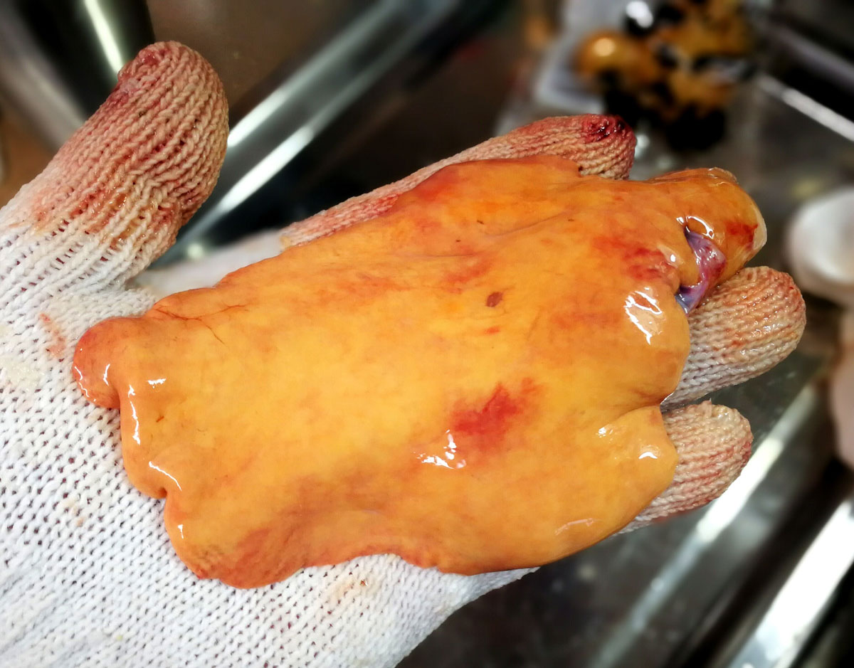 おうちご飯 真カジカ鍋 グロ注意報 鶏の砂肝の生姜醤油煮 青木葉 Eatful Life