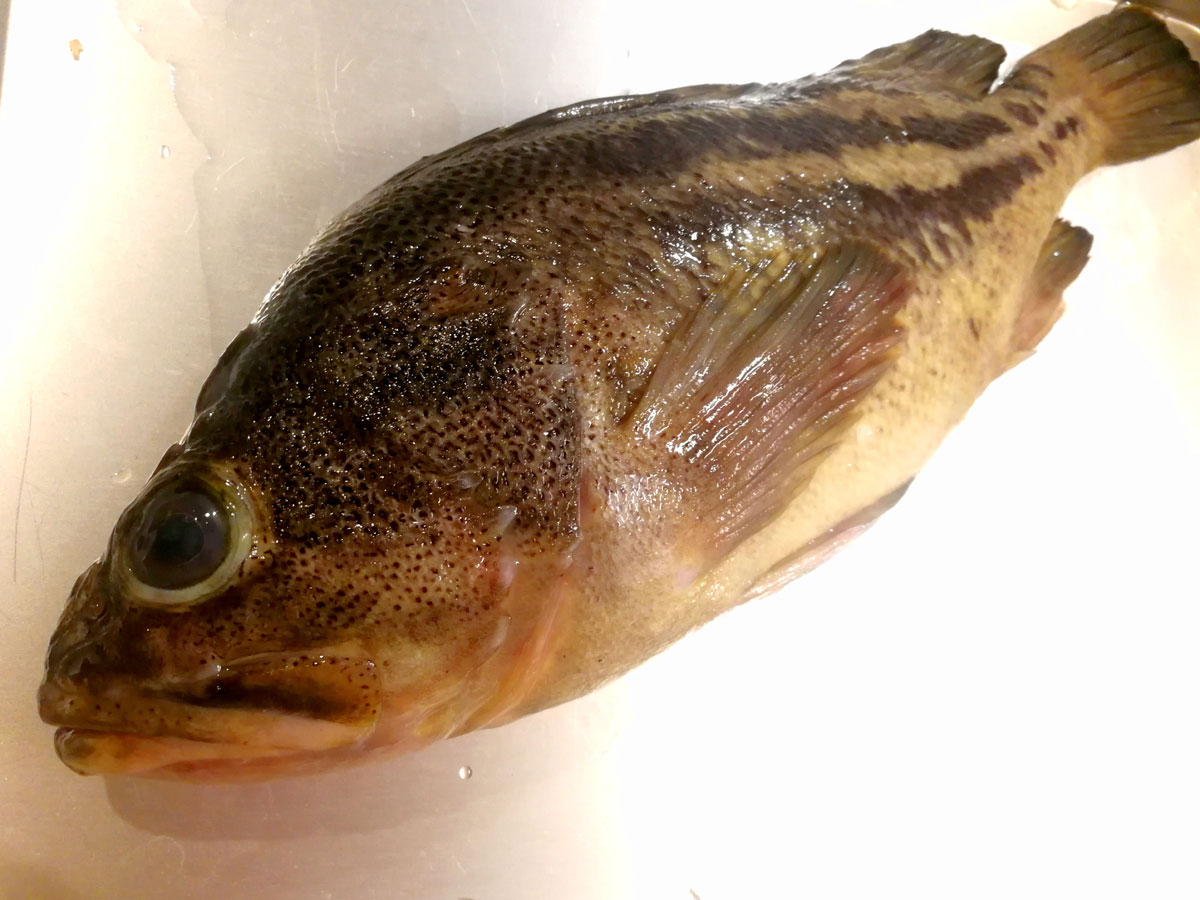 おうちご飯 縞ソイの煮付け ホウレン草のお浸し改め玉子とバター炒め 青木葉 Eatful Life