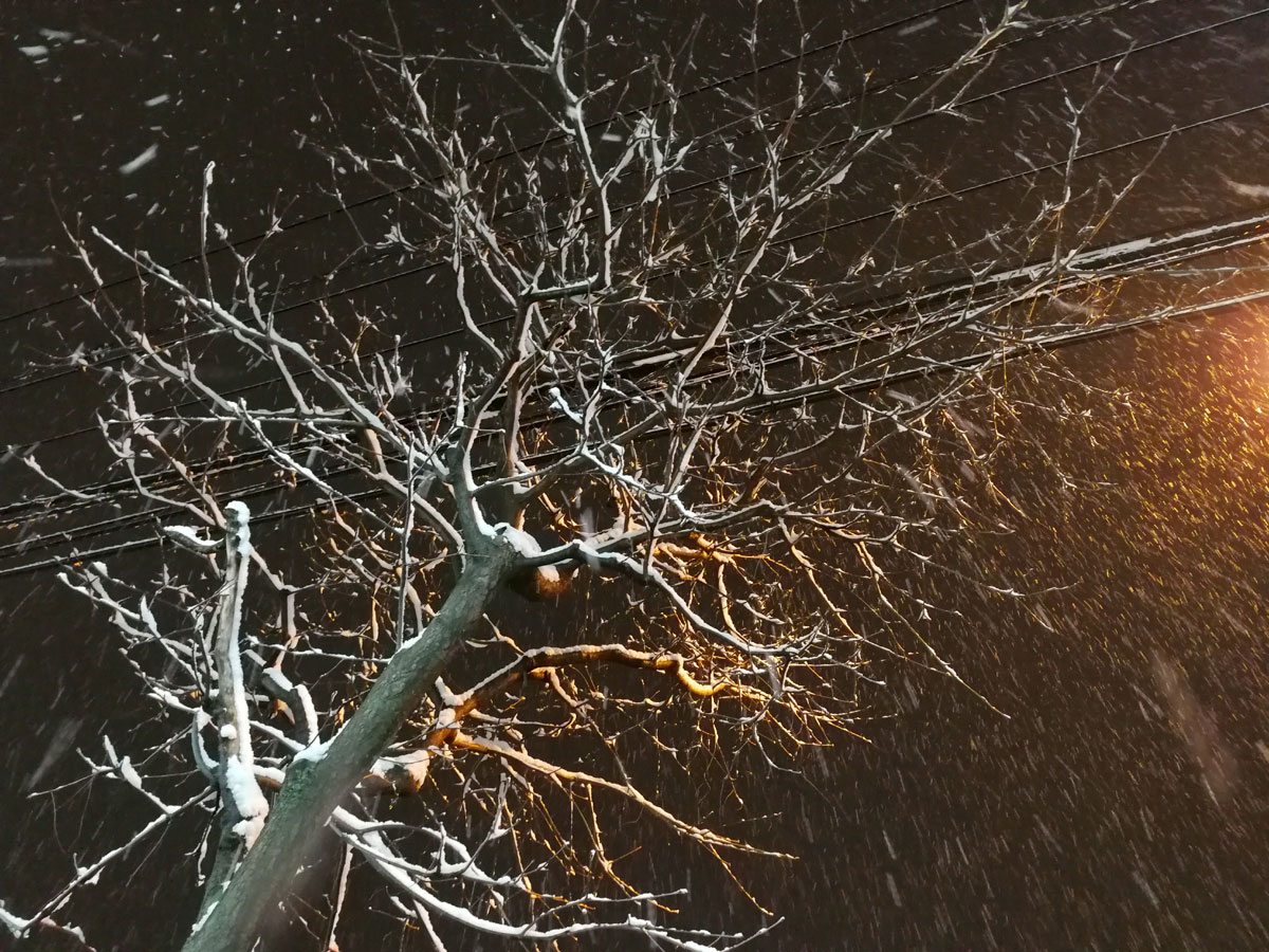 おうちご飯 ネギ味噌天ぷら かしわ天 ヒラメの潮汁 青木葉 Eatful Life おうちご飯 ネギ味噌天ぷら かしわ天 ヒラメの潮汁 青木葉 Eatful Life