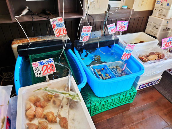 20210401dosanko003