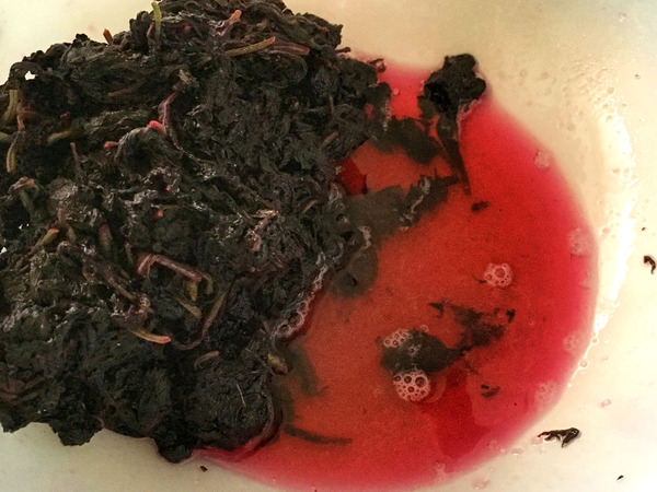 20160706umeboshi03