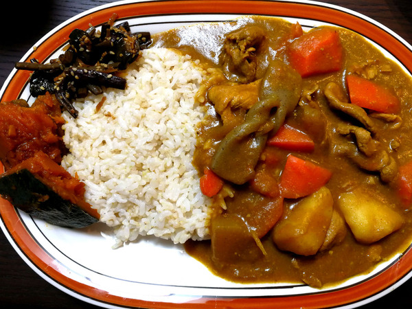 20190130kasujirucurry008