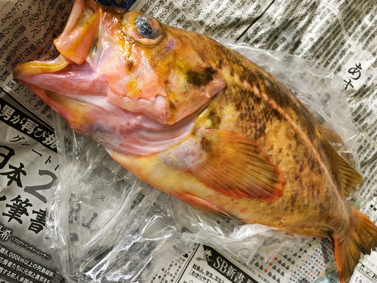 おうちご飯 柳の舞の煮付け 大根梅じそサラダ 青木葉 Eatful Life おうちご飯 柳の舞の煮付け 大根梅じそサラダ 青木葉 Eatful Life