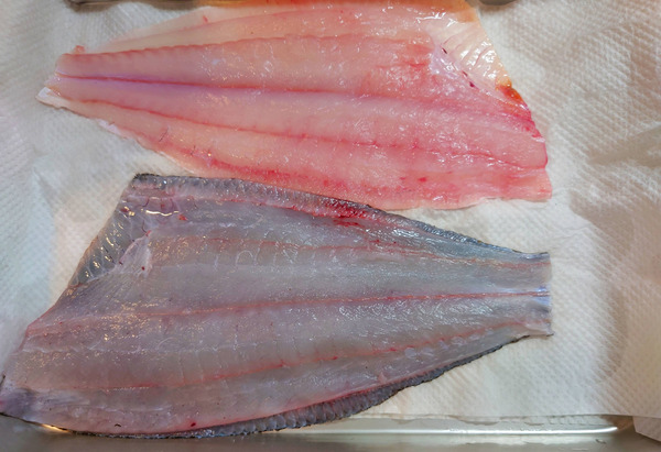 20210531sashimi009