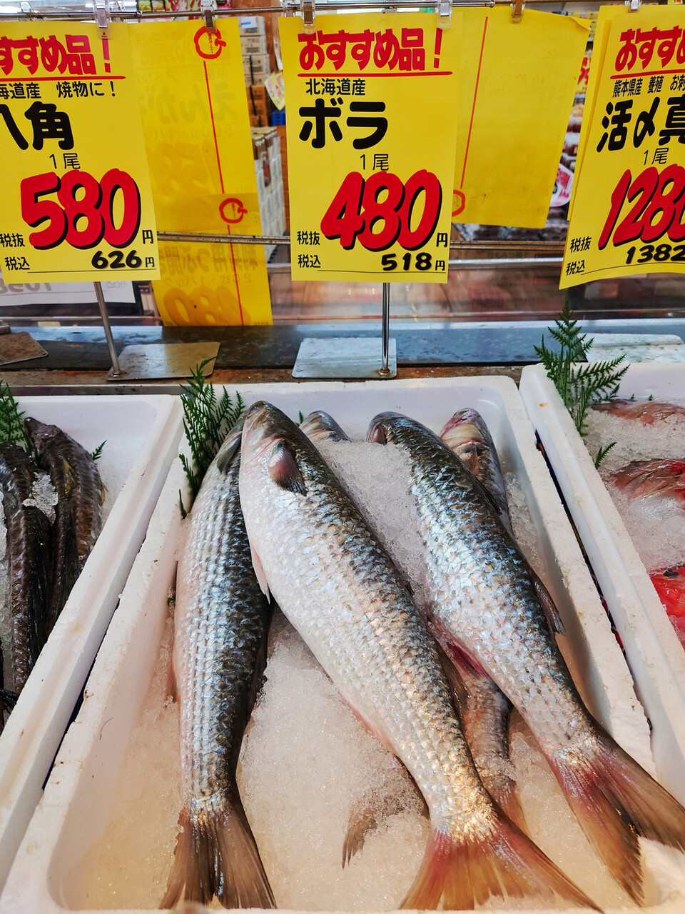 おうちご飯 ボラのスパイスハーブフライ ミネストローネ 青木葉 Eatful Life おうちご飯 ボラのスパイスハーブフライ ミネストローネ 青木葉 Eatful Life